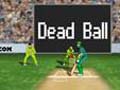 Cricket play online