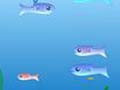 World fish play online