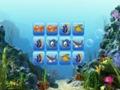 Marine animals play online