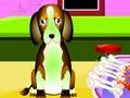 Caring for a dog play online