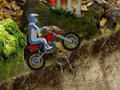 Mountain bike play online