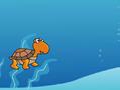 Turtle play online