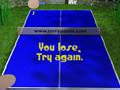 Ping - Pong play online