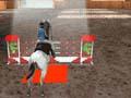 Equestrian 3D play online