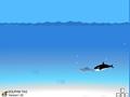 Dolphin Hunt play online