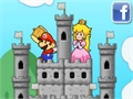 Mario: the protection of the castle play online