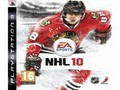 NHL 10 Jigsaw play online