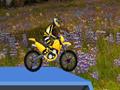 Hillblazer FMX play online