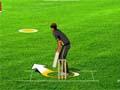 Fantastic cricket play online