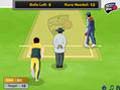 Competitors cricket play online