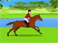 Show Jumping Training play online