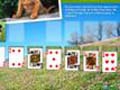 Animal Planet Solitaire play online