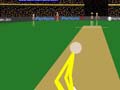 Cann Cricket play online