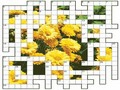 Literal crossword play online