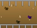 Horse Ranch play online