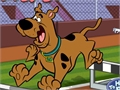 Scooby Doo - Steeplechase play online