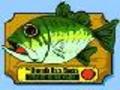 The Singing Fish play online