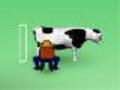 Milking cows play online