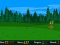 Duck hunting play online