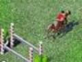 Horse Jumping play online