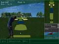 Golf play online